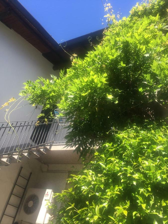 Delizioso Appartamento In Corte Vittuone Exterior photo
